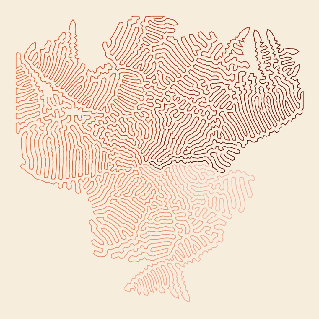 Differential Growth — generative artwork by Lumen & Logic