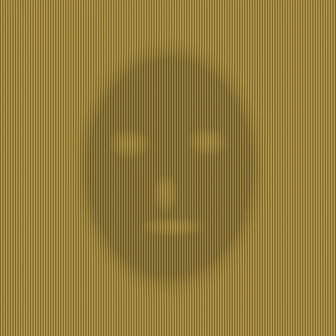 Face Moire — generative artwork by Lumen & Logic